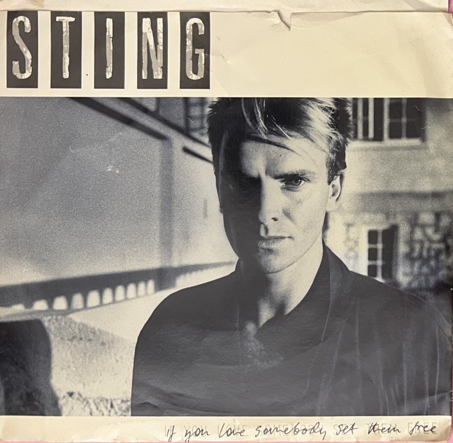 Sting - If You Love Somebody Set Them Free / Another Day